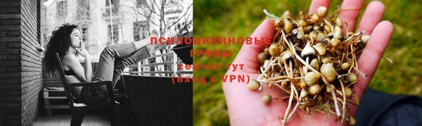 тгк Новозыбков
