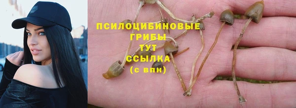 амф Новокубанск