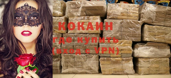 тгк Новозыбков