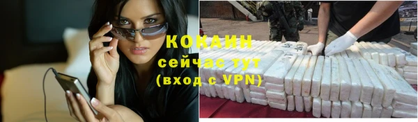 прущие крисы Новодвинск
