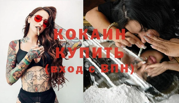 прущие крисы Новодвинск