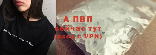 прущие крисы Новодвинск