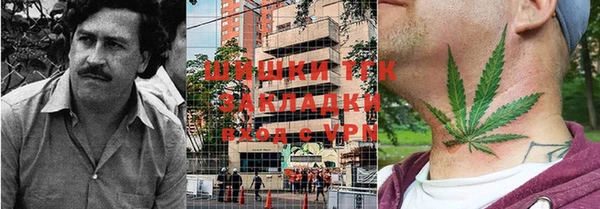 амф Новокубанск