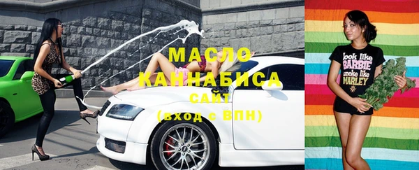 тгк Новозыбков