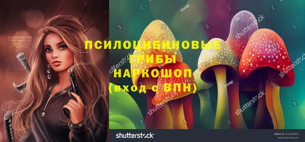 прущие крисы Новодвинск