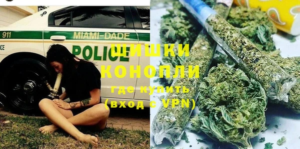 тгк Новозыбков