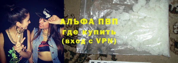 тгк Новозыбков