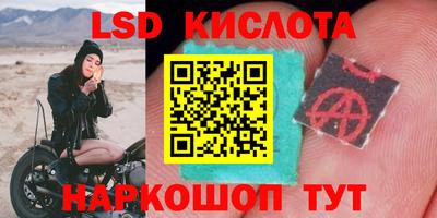 ПСИЛОЦИБИНОВЫЕ ГРИБЫ Изобильный