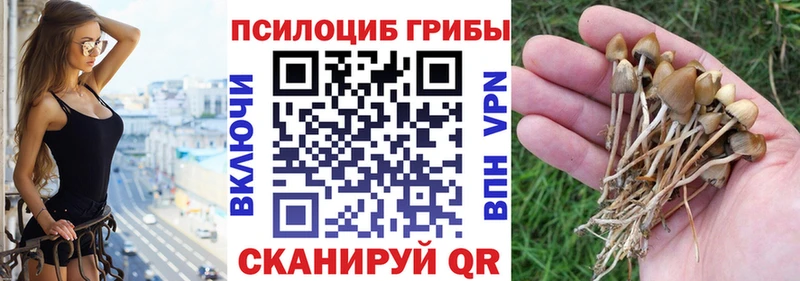 Галлюциногенные грибы ЛСД  цены   ОМГ ОМГ как зайти  Кохма 