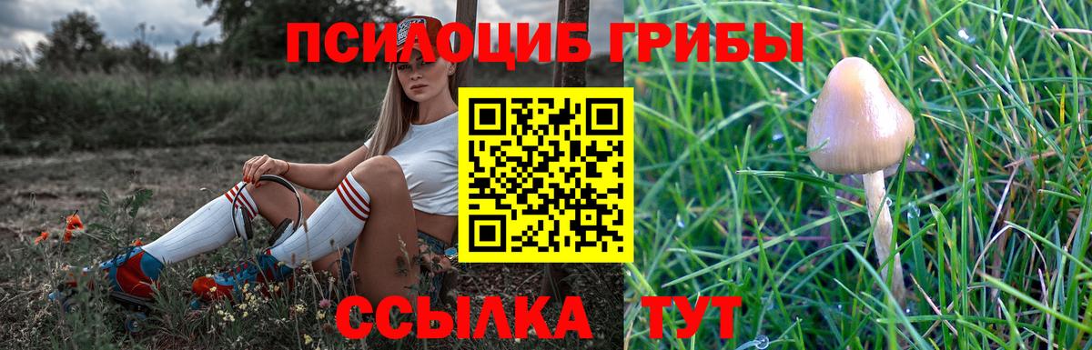 Галлюциногенные грибы Cubensis Кохма